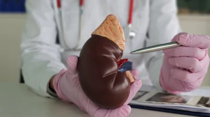 Казахстанец пытался продать собственную почку за 13 млн тенге