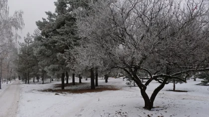 Прогноз погоды в Казахстане на 20 февраля