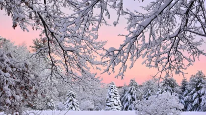 Штормовое предупреждение объявили в 16 регионах Казахстана на 22 февраля