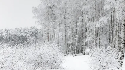 В каких регионах Казахстана объявили штормовое предупреждение