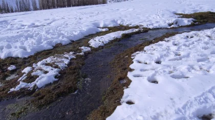 Больше 700 новых родников нашли в Казахстане