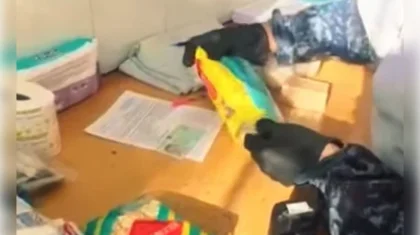 Смартфон в упаковке салфеток пытались передать заключенному в Павлодаре