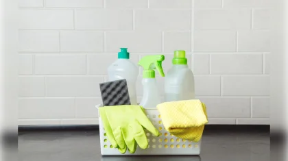 Сотрудников общежития наказали за принуждение студенток к уборке в Туркестане