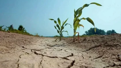 Засуха ожидается на юге Казахстана летом 2026 года – Минводы