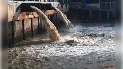 Больше 50 млн тенге взыскали с «экологических нелегалов» в Костанайской области