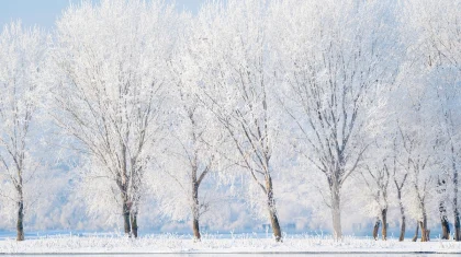 Погода без осадков ожидается на большей части Казахстана 25 февраля