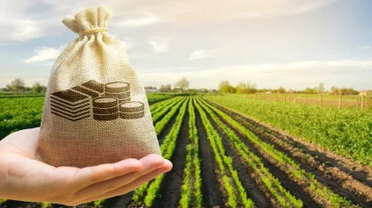 «Аграрная кредитная корпорация» начала прием заявок на субсидирование части страховых премий в АПК