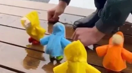 Турецкий фермер устроил модный показ для цыплят под дождем (ВИДЕО)