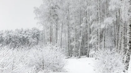 В каких регионах Казахстана объявили штормовое предупреждение