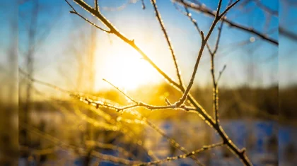 Каким будет март в Казахстане, рассказали синоптики