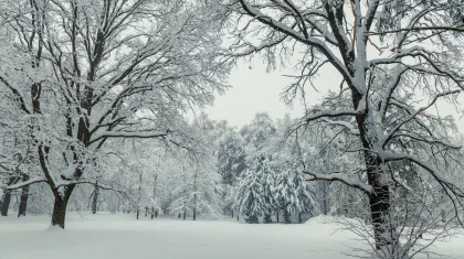Метели и туман: штормовое предупреждение объявили в Казахстане на 2 марта