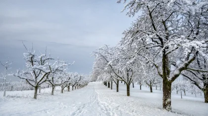 Какая погода ожидается в Казахстане 3 марта