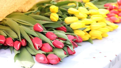 Из каких стран в Казахстан везут цветы и в каких объемах