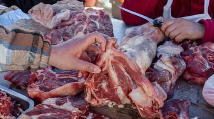 Подпольный мясной цех накрыли в частном секторе Астаны (ВИДЕО)