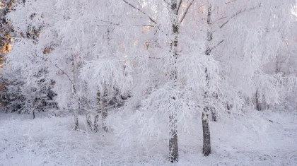 Штормовое предупреждение объявили почти по всему Казахстану на 5 марта
