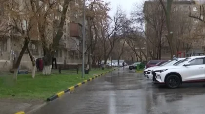 Тела четырех человек обнаружили в трех квартирах одного подъезда в Шымкенте