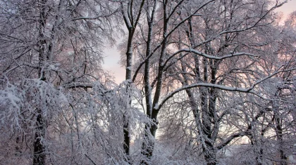 Какая погода ожидается в Казахстане 5 марта