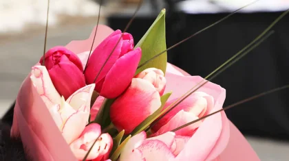 Концерты, акции и турниры: как в Астане и Алматы отметят 8 Марта