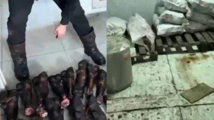 Тысячи тонн опасного мяса нашли в Астане (ВИДЕО)