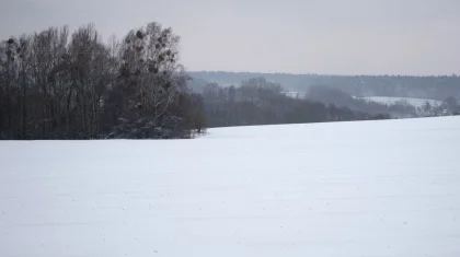 Штормовое предупреждение объявили во всех регионах Казахстана на 8 марта