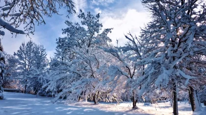Прогноз погоды в Казахстане на 10 марта представили синоптики