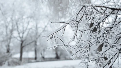 Штормовое предупреждение объявили по всему Казахстану на 11 марта