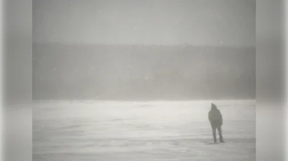 Скотник замерз насмерть в метель в Павлодарской области