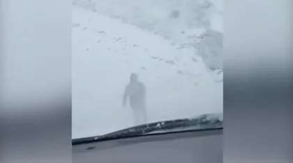 Шла впереди в буран: учительница вывела колонну машин из снежного плена в Павлодарской области (ВИДЕО)