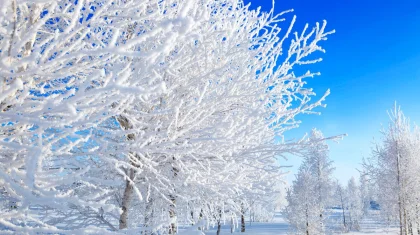 Тепло до +12: прогноз погоды в Казахстане на 13 марта