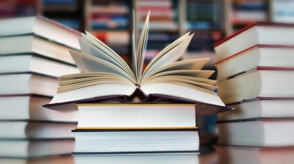 Предприниматель продавал нелегальные копии книг на маркетплейсе в Жамбылской области