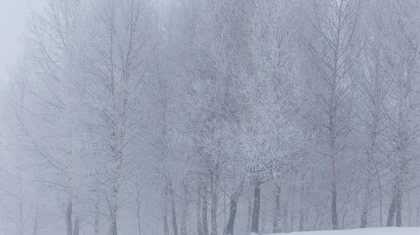 Туман накроет Казахстан: штормовое предупреждение объявили на 15 марта