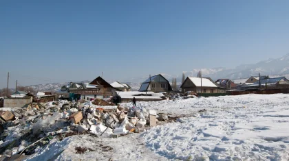 Проблему вывоза мусора в казахстанских селах решают в Минэкологии