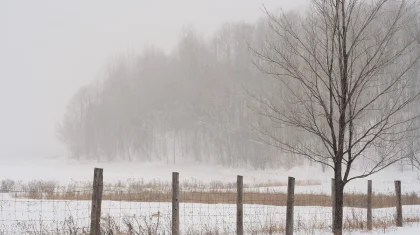 Туман накроет Казахстан 18 марта, объявлено штормовое предупреждение