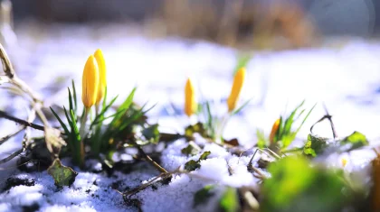 До +23 и без осадков: синоптики рассказали о погоде в Казахстане на 19-21 марта