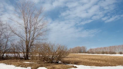 На юге до +20: прогноз погоды в Казахстане на 19 марта