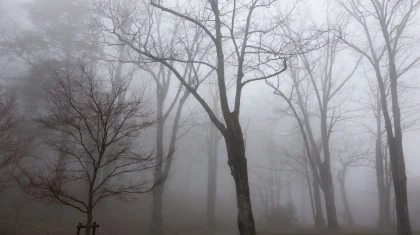 Туман и дожди: штормовое предупреждение объявили в 14 регионах Казахстана на 20 марта