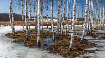 Погода без осадков ожидается на большей части Казахстана 20 марта