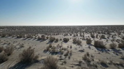 На осушенном дне Аральского моря саксаул высаживают с помощью агродронов