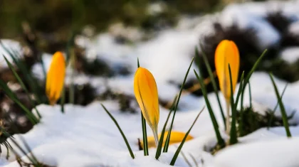 Тепло приходит в Казахстан: прогноз погоды на 23 марта