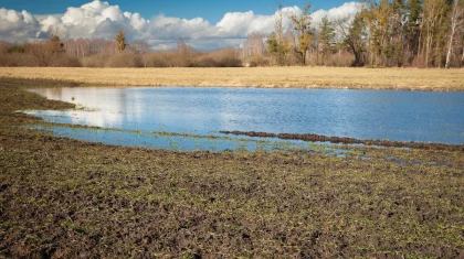 Тепло и без осадков: прогноз погоды в Казахстане на 26 марта