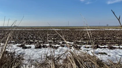 До +30 градусов: по-летнему жарко будет в Казахстане в конце марта