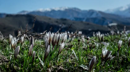 Погода без осадков ожидается в Казахстане 30 марта