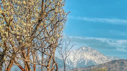 Какая погода ожидается в Казахстане 1 апреля