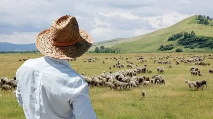 Агросектор теряет работников: мажилисмен бьет тревогу из-за нехватки кадров в сельском хозяйстве