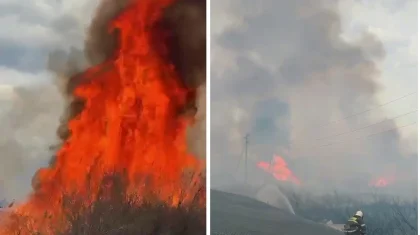 Горели деревья и кустарники: крупный пожар устроил житель Кызылорды