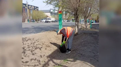 Легкий заработок в TikTok обернулся для 19-летнего кызылординца судом