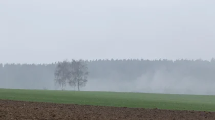 Грозы и туман: штормовое предупреждение объявили по всему Казахстану на 3 апреля