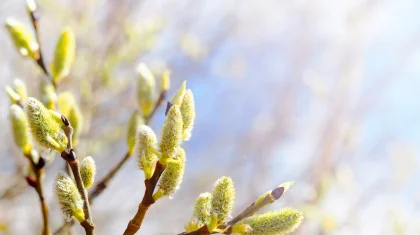 На большей части Казахстана осадков не ожидается: прогноз погоды на 3 апреля