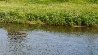 Двухлетнюю девочку унесло течением реки в Туркестанской области