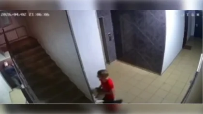 Бросал об стену: школьник жестоко издевался над кошкой в многоэтажке в Алматы (ВИДЕО)